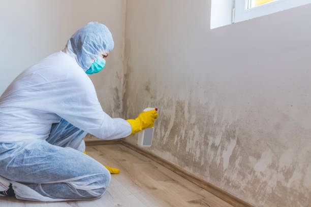 Forensic Mold Investigation in Milan, IL